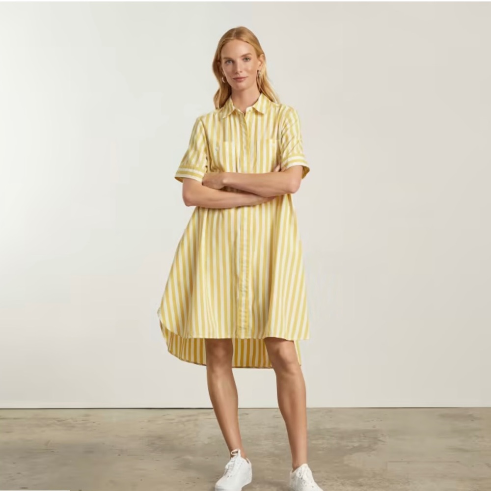 Everlane The Daytripper Shirtdress